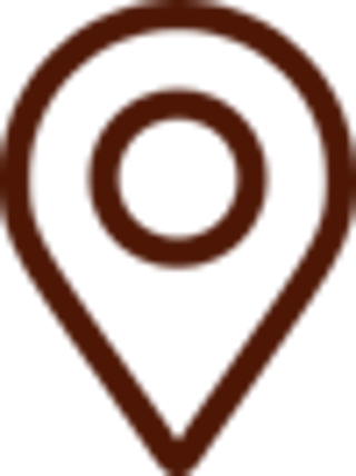 pin icon