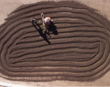 sand banner